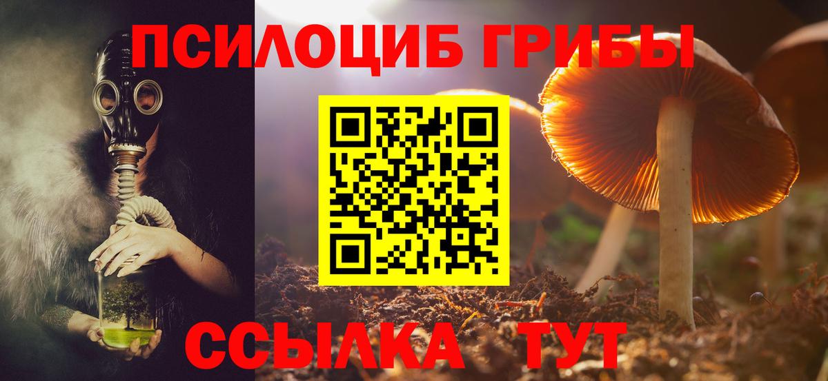 Псилоцибиновые грибы GOLDEN TEACHER Ступино
